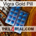 Vigra Gold Pill viagra2